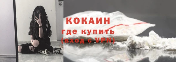 СК Осинники