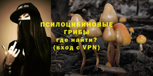 spice Аркадак